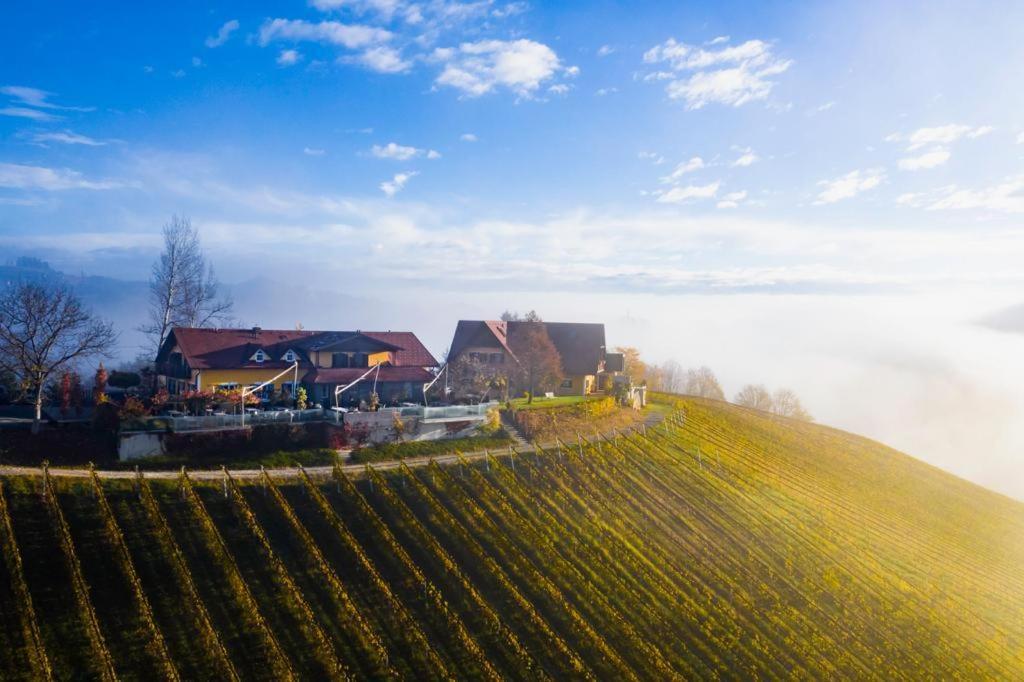 فندق Weingut Essgut Schlafgut Sabathihof-Dillinger Glanz an der Weinstraße المظهر الخارجي الصورة